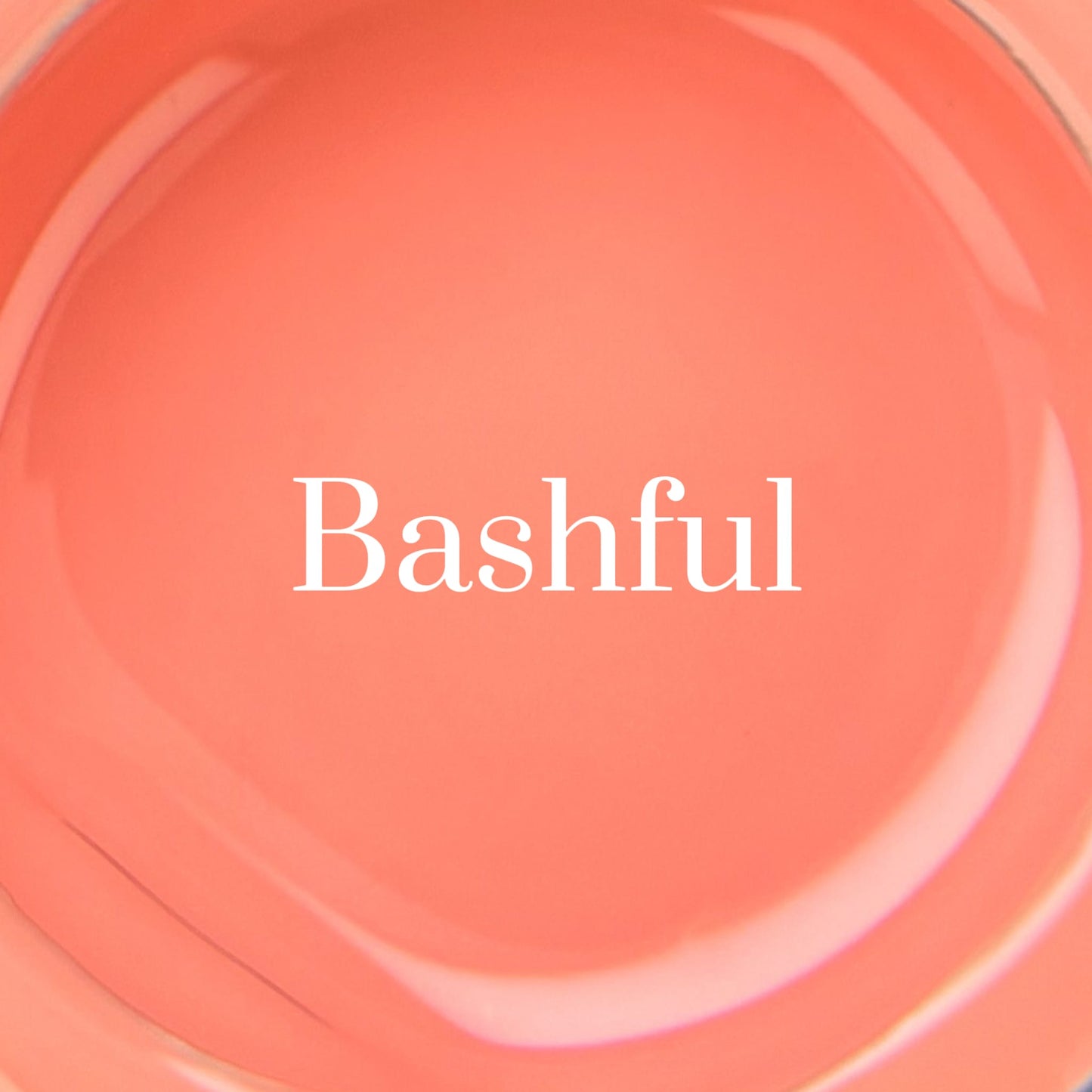 GEL PAINT - BASHFUL