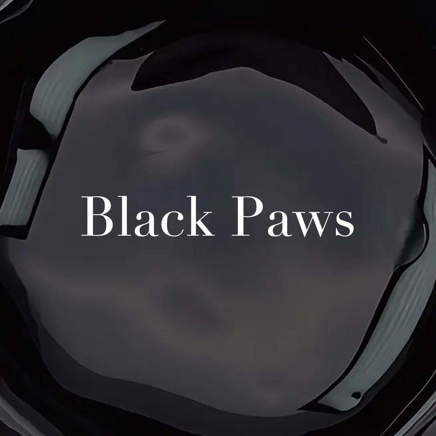 GEL PAINT - BLACK PAWS